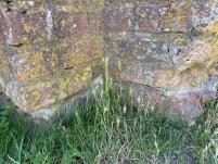 column PLANT