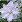Click for 1 image(s) for this accession.
