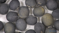 column seed