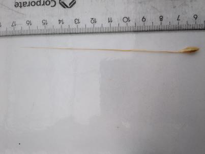 column KERNELS