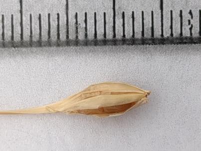 column KERNELS