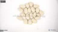 column seed