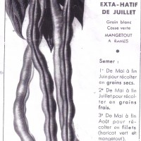 Click for 12 image(s) for this accession. Image