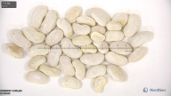 Click for 5 image(s) for this accession. seed