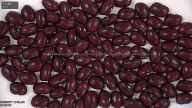 Click for 3 image(s) for this accession. seed