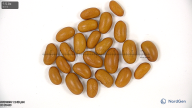 column seed