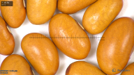column seed