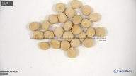 column seed