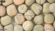 column seed