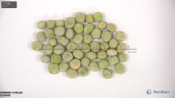 seed