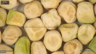 column seed