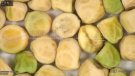 column seed