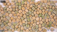 seed