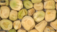 column seed
