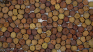 seed