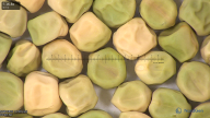 column seed