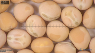 column seed