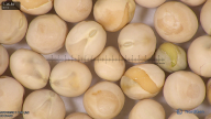 column seed