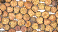 column seed