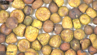 column seed