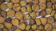 column seed