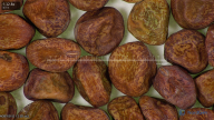 column seed