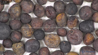 column seed