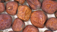 column seed