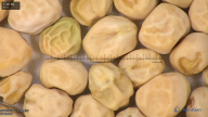 column seed