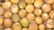 column seed