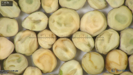 column seed