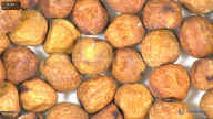 column seed