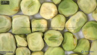 column seed