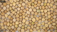 column seed