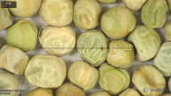 column seed