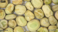 column seed