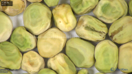 column seed