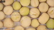 column seed