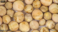column seed