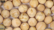 column seed