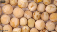 column seed