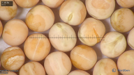 column seed