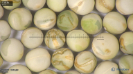 column seed