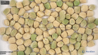 column seed