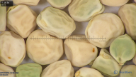 column seed