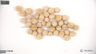 column seed