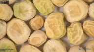 column seed