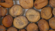 column seed
