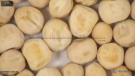 column seed