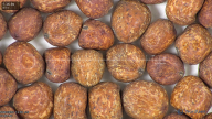 column seed